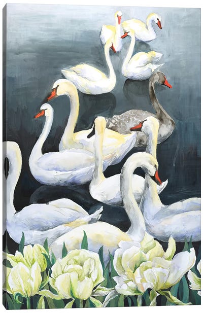 Swan Lake Canvas Art Print - Violetta Boyadzhieva