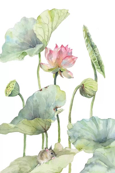 Lotuses: Lotus Home For A Little Mouse by Violetta Boyadzhieva