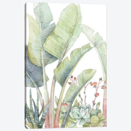 Tropical Plant Friends Canvas Print #VBY65} by Violetta Boyadzhieva Canvas Wall Art