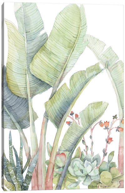 Tropical Plant Friends Canvas Art Print - Violetta Boyadzhieva