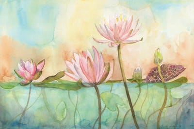 Lotuses
