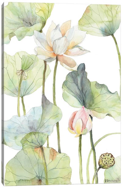 The Tall Lotus Canvas Art Print - Lotuses
