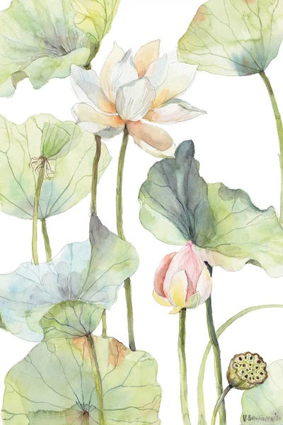 Watercolor Flowers: The Tall Lotus by Violetta Boyadzhieva