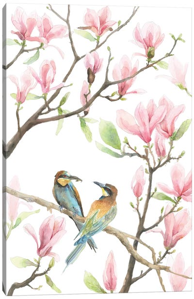 Bee Eaters And Magnolias Canvas Art Print - Violetta Boyadzhieva