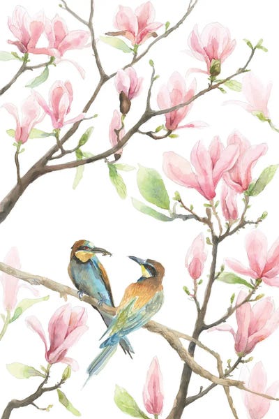 Magnolias: Bee Eaters And Magnolias by Violetta Boyadzhieva