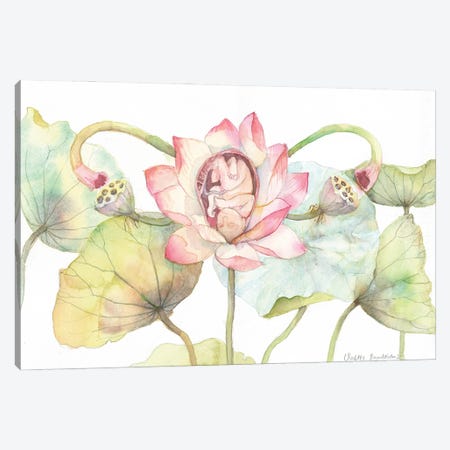 Lotus Blossom With A Baby, Uterus Metaphor, Floral Anatomy Canvas Print #VBY77} by Violetta Boyadzhieva Canvas Print