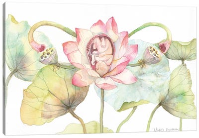 Lotus Blossom With A Baby, Uterus Metaphor, Floral Anatomy Canvas Art Print - Violetta Boyadzhieva