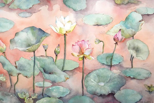 Lotuses: Sunset At The Lotus Lake, Romantic Evening by Violetta Boyadzhieva
