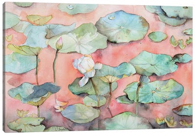 White Lotus At A Sunset Lake Canvas Art Print - Violetta Boyadzhieva