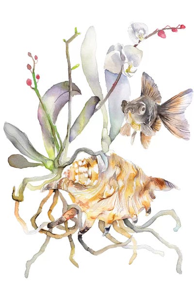 Goldfish: Black Fish by Violetta Boyadzhieva