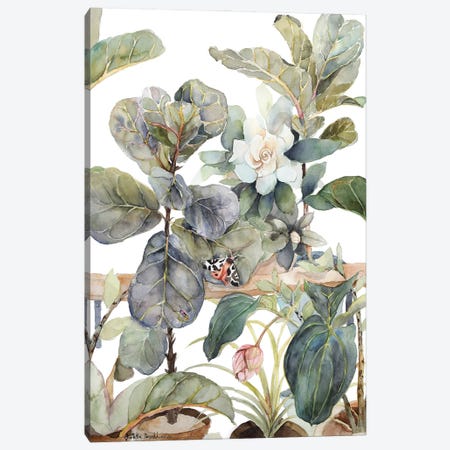 Ficus Lyrata, Medinilla, Gardenia, Indoor Plants, Illustration, Shades Of Green, Moth Canvas Print #VBY84} by Violetta Boyadzhieva Canvas Wall Art