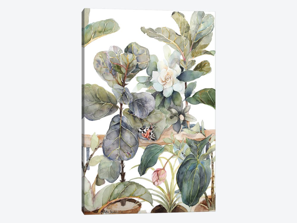 Ficus Lyrata, Medinilla, Gardenia, Indoor Plants, Illustration, Shades Of Green, Moth by Violetta Boyadzhieva 1-piece Canvas Artwork