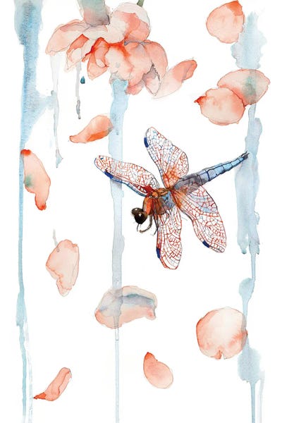 Dragonflies: Dragonfly And Peony Petals Painting, Watercolor by Violetta Boyadzhieva
