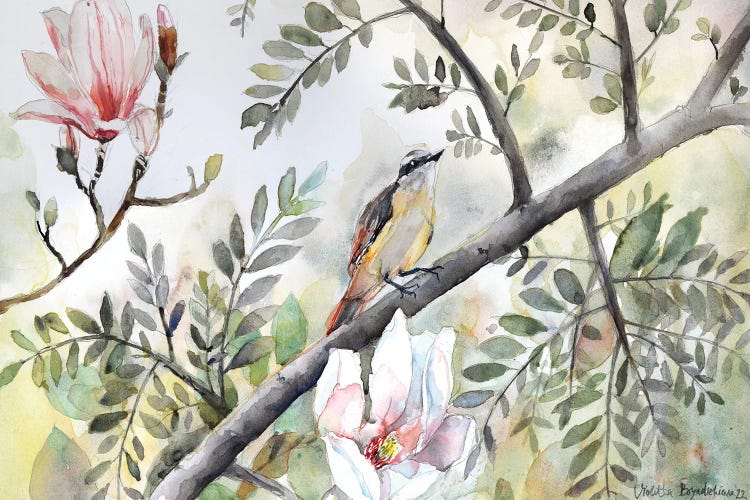 Bird On A Branch, Tree, Magnolia Blossoms, Spring