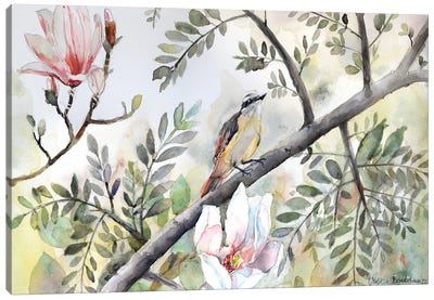 Bird On A Branch, Tree, Magnolia Blossoms, Spring Canvas Art Print - Violetta Boyadzhieva