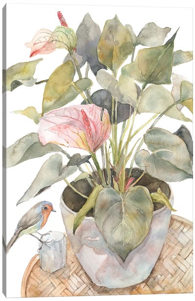 Anthurium And Bird, Flamingo Lily Plant In A Pot Canvas Art Print - Violetta Boyadzhieva