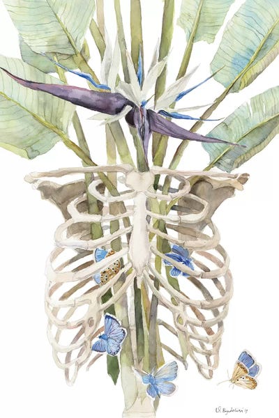 Skeletons: Blue by Violetta Boyadzhieva