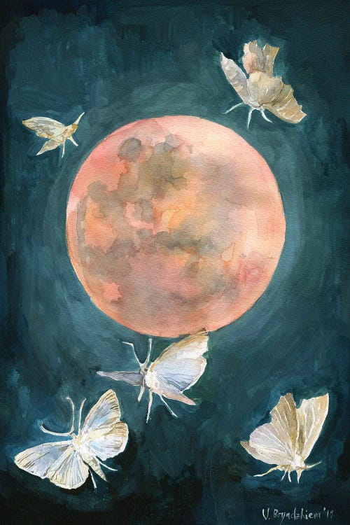 Red Moon Print, Moths And Butterflies, Beautiful Night