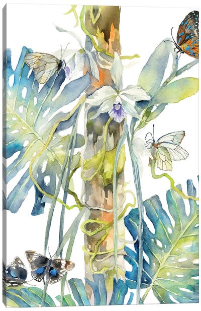 Butterflies Orchids Canvas Art Print - Violetta Boyadzhieva