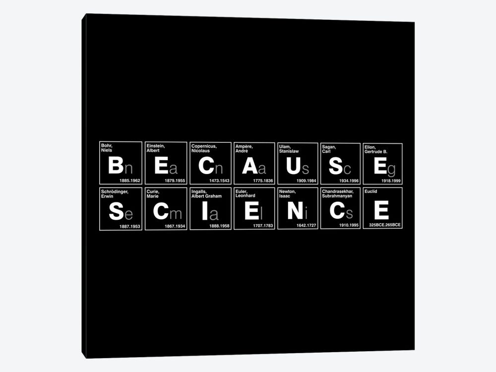 Because Science 1-piece Canvas Wall Art
