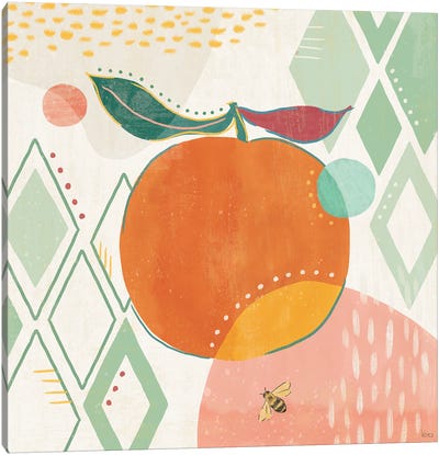 Fruit Frenzy VII Canvas Art Print - Orange Art
