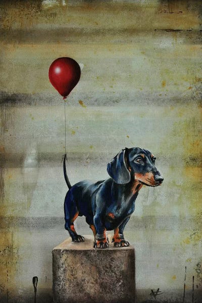 Stanley's Balloon