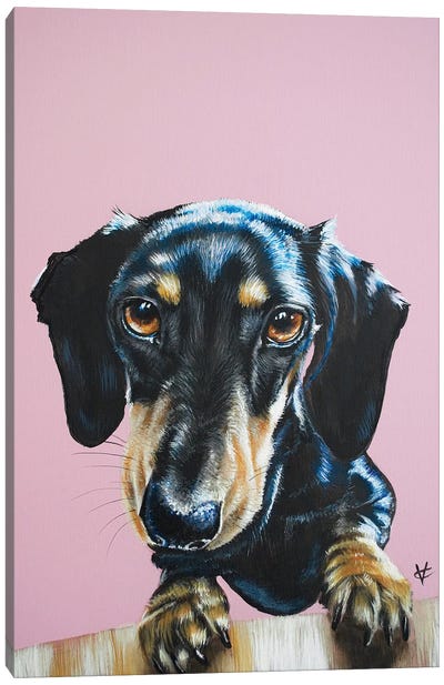 The Constant Visitor Canvas Art Print - Dachshund Art