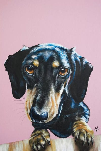 All Purples: The Constant Visitor by Victoria Coleman