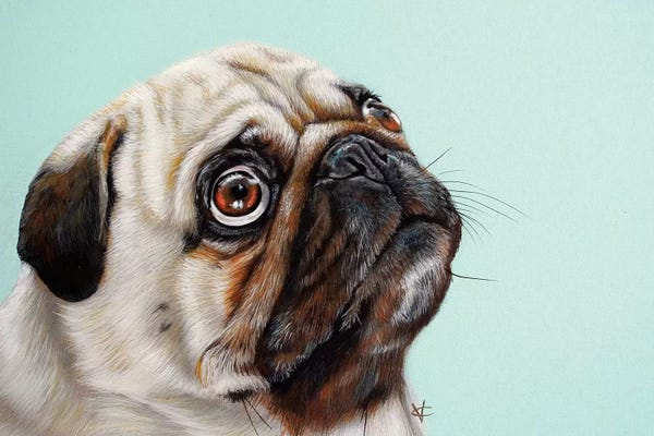 Pugs: The Treat by Victoria Coleman
