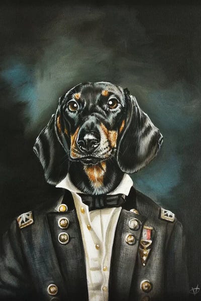 Dachshunds: Distinguished Dachshund by Victoria Coleman