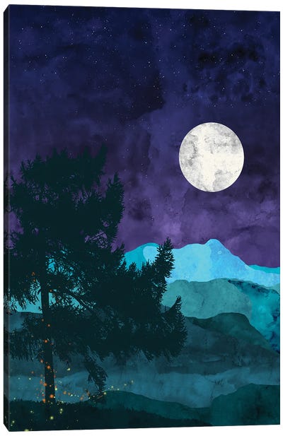 Nocturnal Mountains Canvas Art Print - Full Moon Art