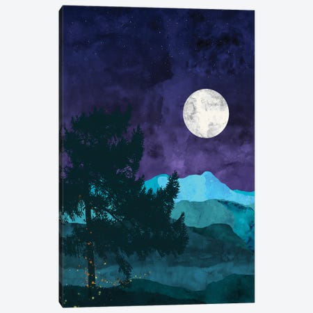 Nocturnal Mountains Canvas Print #VCR14} by Van Credi Canvas Print