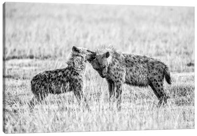 Hyena I Canvas Art Print