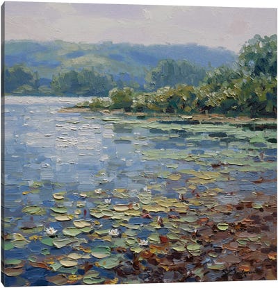 Morning At The Lake Canvas Art Print - Water Lilies Collection