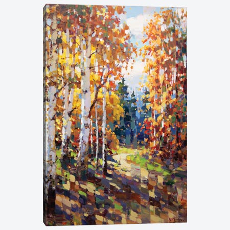 Autumn Trail Canvas Print #VDL23} by Vadim Dolgov Canvas Art