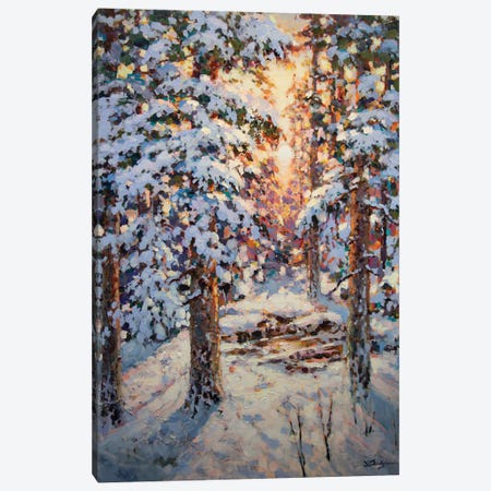 Winter Sunset Canvas Print #VDL24} by Vadim Dolgov Art Print
