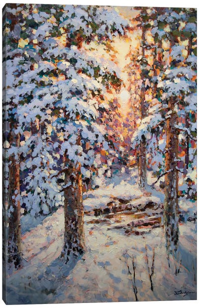 Winter Sunset Canvas Art Print - Vadim Dolgov