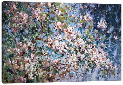 Magnolia Canvas Art Print - Vadim Dolgov