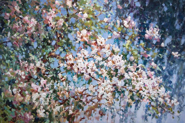 Magnolias: Magnolia by Vadim Dolgov