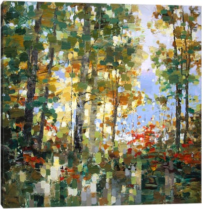 Sparkles In The Bush Canvas Art Print - Vadim Dolgov