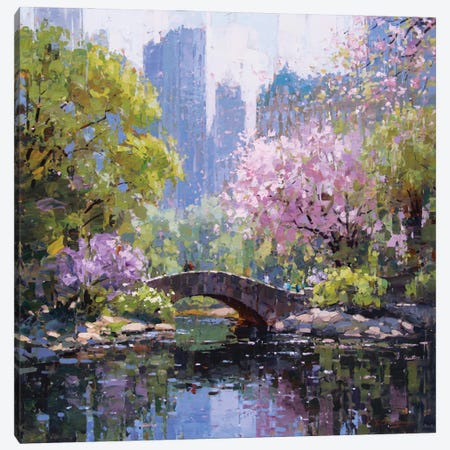 Central Park Blossoms Canvas Print #VDL7} by Vadim Dolgov Canvas Art Print