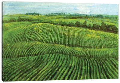 Meadows Farms Canvas Art Print - Vishalandra Dakur