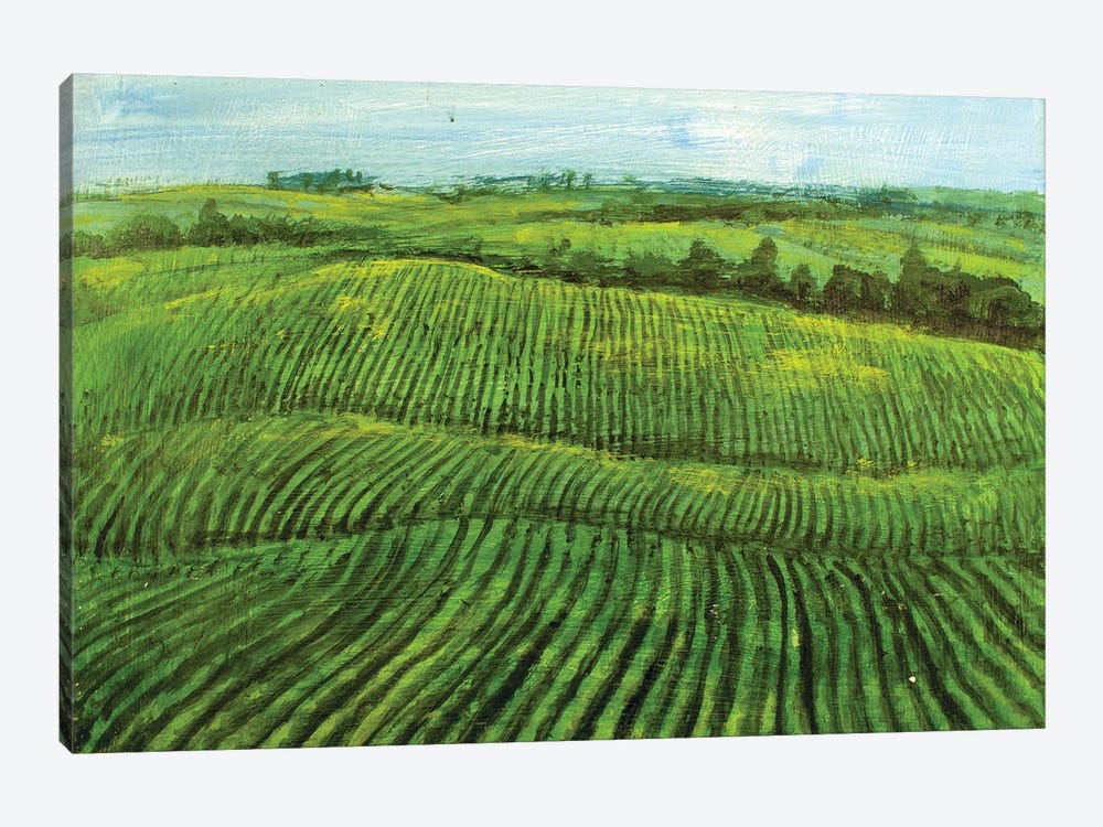 Meadows Farms by Vishalandra Dakur 1-piece Art Print