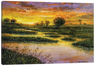 Marsh Meadows Canvas Art Print - Marsh & Swamp Art