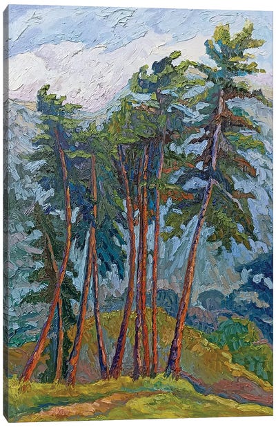 Pine Trees With Orange Trunks Canvas Art Print - Lilit Vardanyan