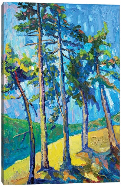Sunny Day Canvas Art Print - Artists Like Van Gogh
