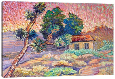 Sunset In Desert Canvas Art Print - Artists Like Van Gogh