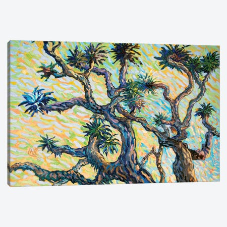 The Joshua Tree Canvas Print #VDY18} by Lilit Vardanyan Canvas Wall Art