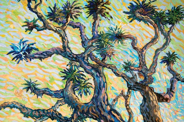 Joshua Tree National Park: The Joshua Tree by Lilit Vardanyan