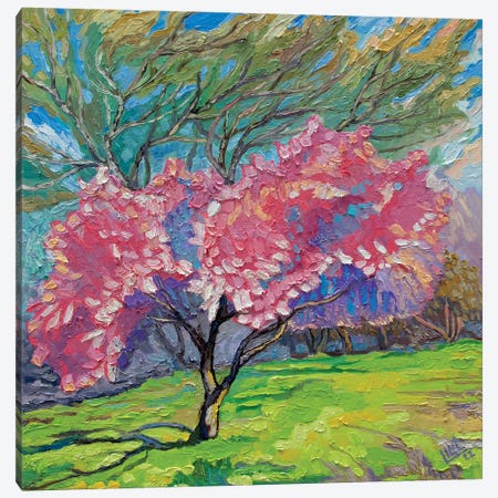 A Blossom Tree Canvas Print #VDY1} by Lilit Vardanyan Canvas Art